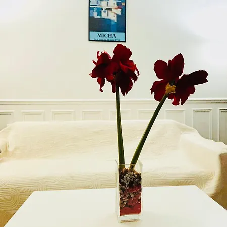 Tour Eiffel Lecourbe Apartment *